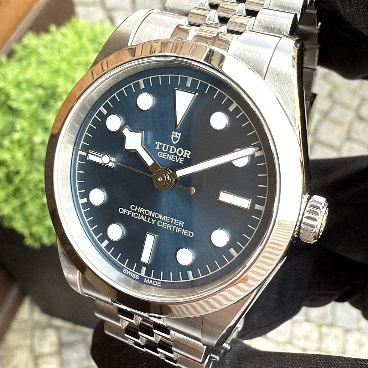 Tudor Black Bay 36