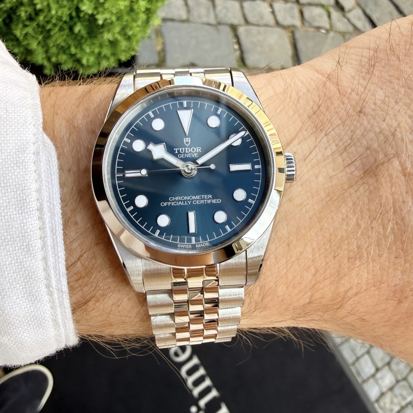 Tudor Black Bay 36