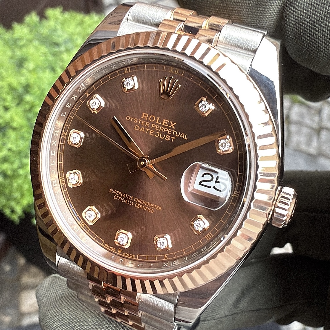 Rolex Datejust 41 Chocolate Diamond Dial