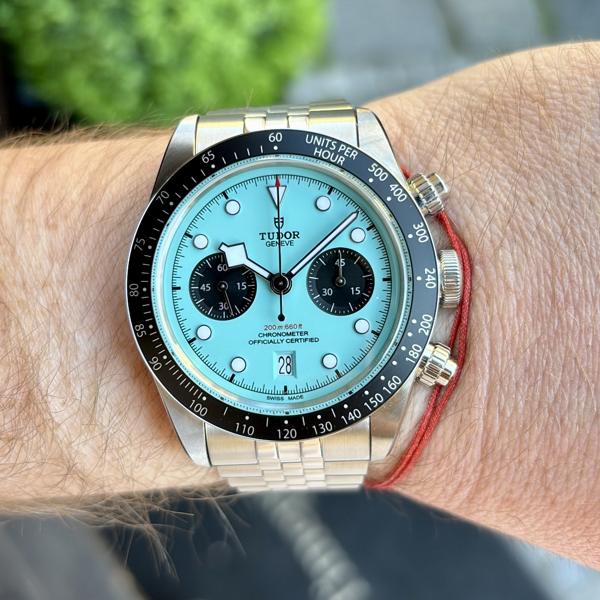 Tudor Black Bay Chrono Flamingo Blue
