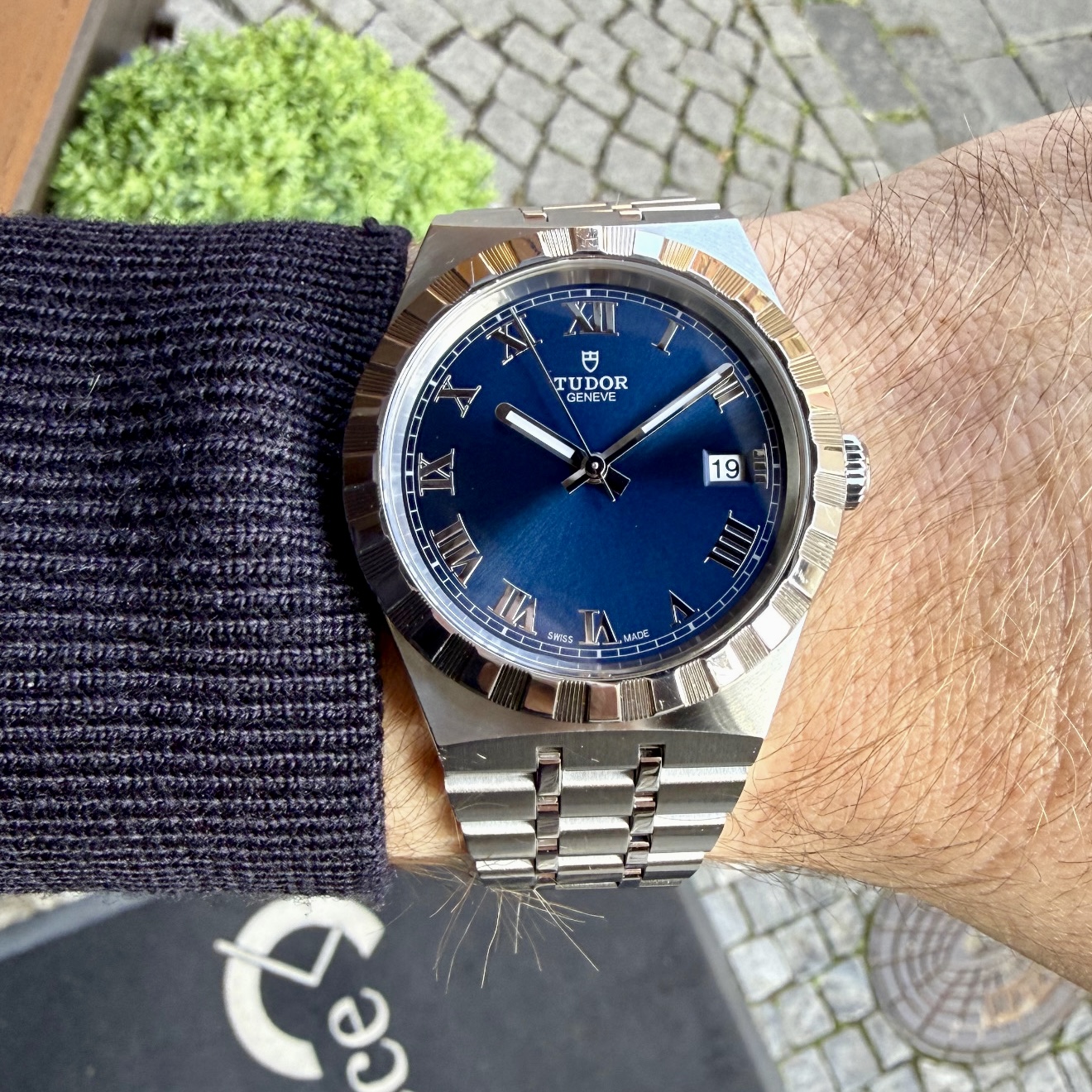 Tudor Royal