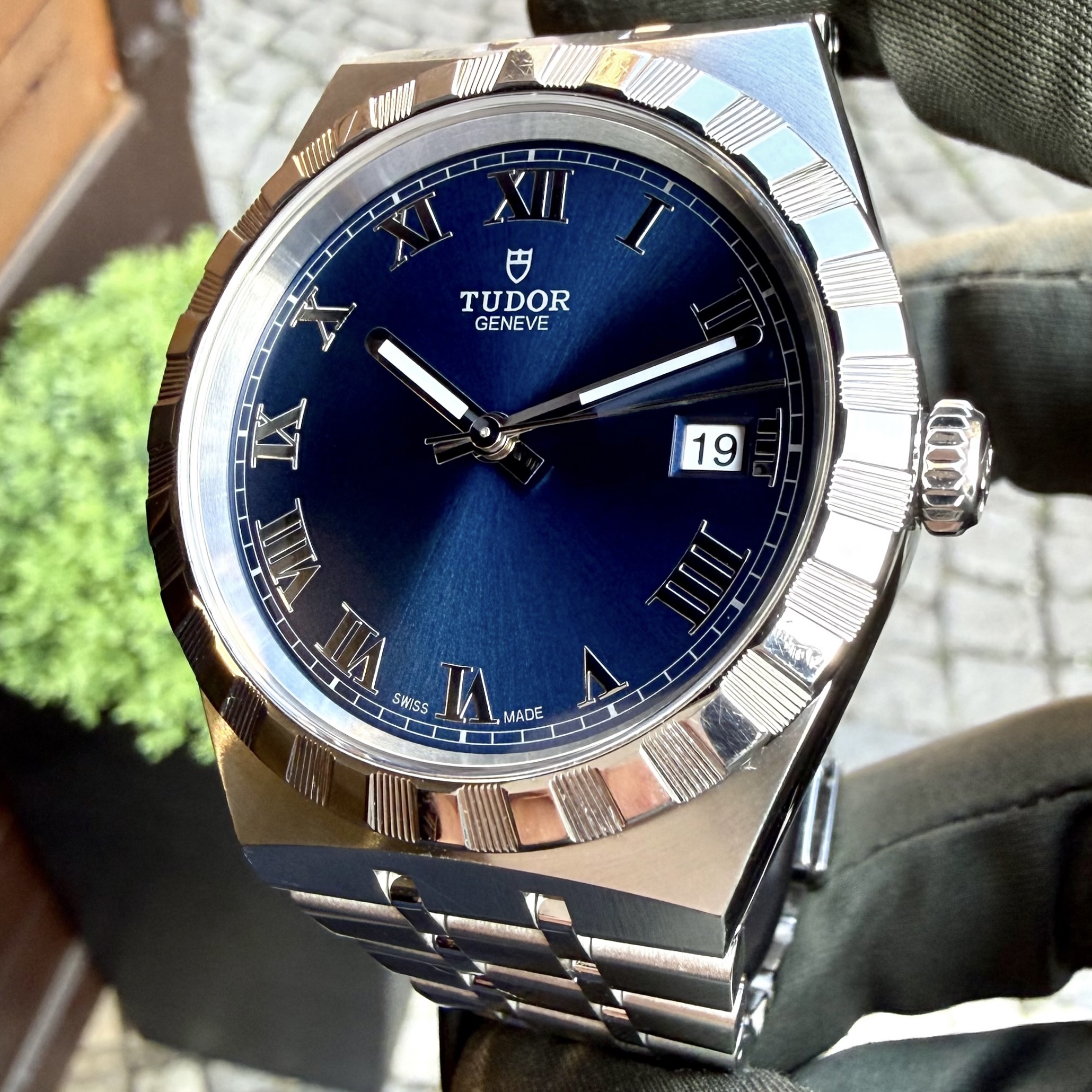 Tudor Royal